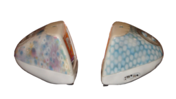 IMac G3 Flower Power and Blue Dalmatian