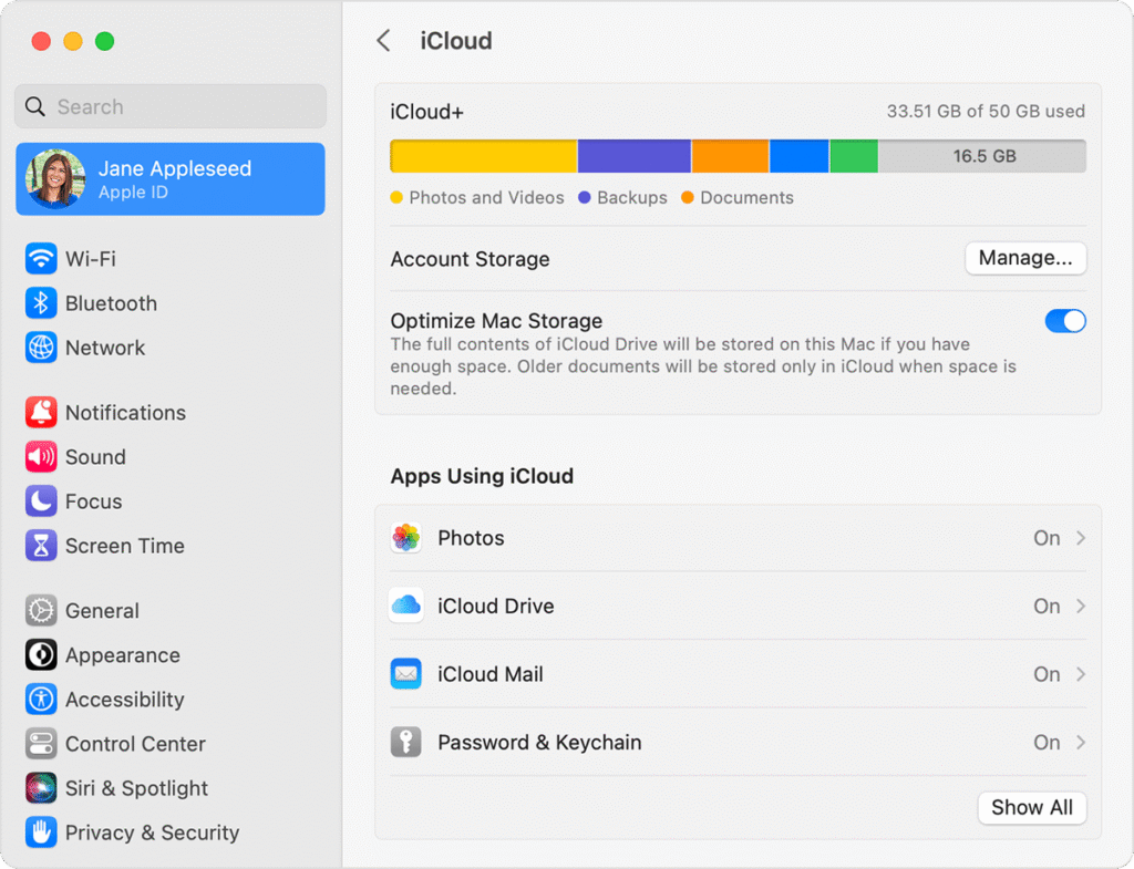 When checking the storage settings on my Mac what is "other" and "system data"?